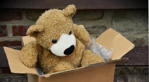 Stuffed Bear in Box