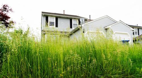 Vacant house surrounded by overgrown grass