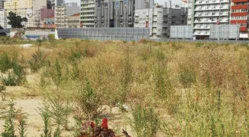 Vacant building lot awaiting development