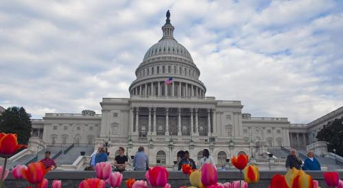 Capitol-dome-in-Washington-DC