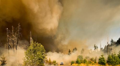 Car_on_road_ahead_of_wildfire