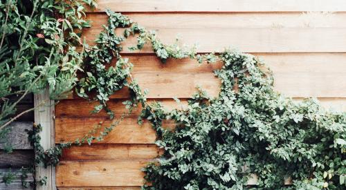 Wood siding