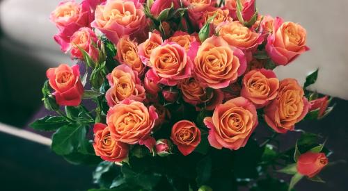 Bouquet of roses with other accoutrements on table